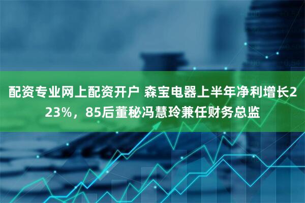 配资专业网上配资开户 森宝电器上半年净利增长223%,85后董秘冯慧玲兼任财务总监